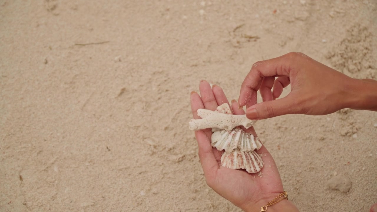 Mujer clasifica cuidadosamente tesoros del océano. Manos delicadas organizan conchas marinas en la superficie arenosa. Primer plano de manos femeninas arreglando meticulosamente conchas y fragmentos de coral en la cálida orilla arenosa