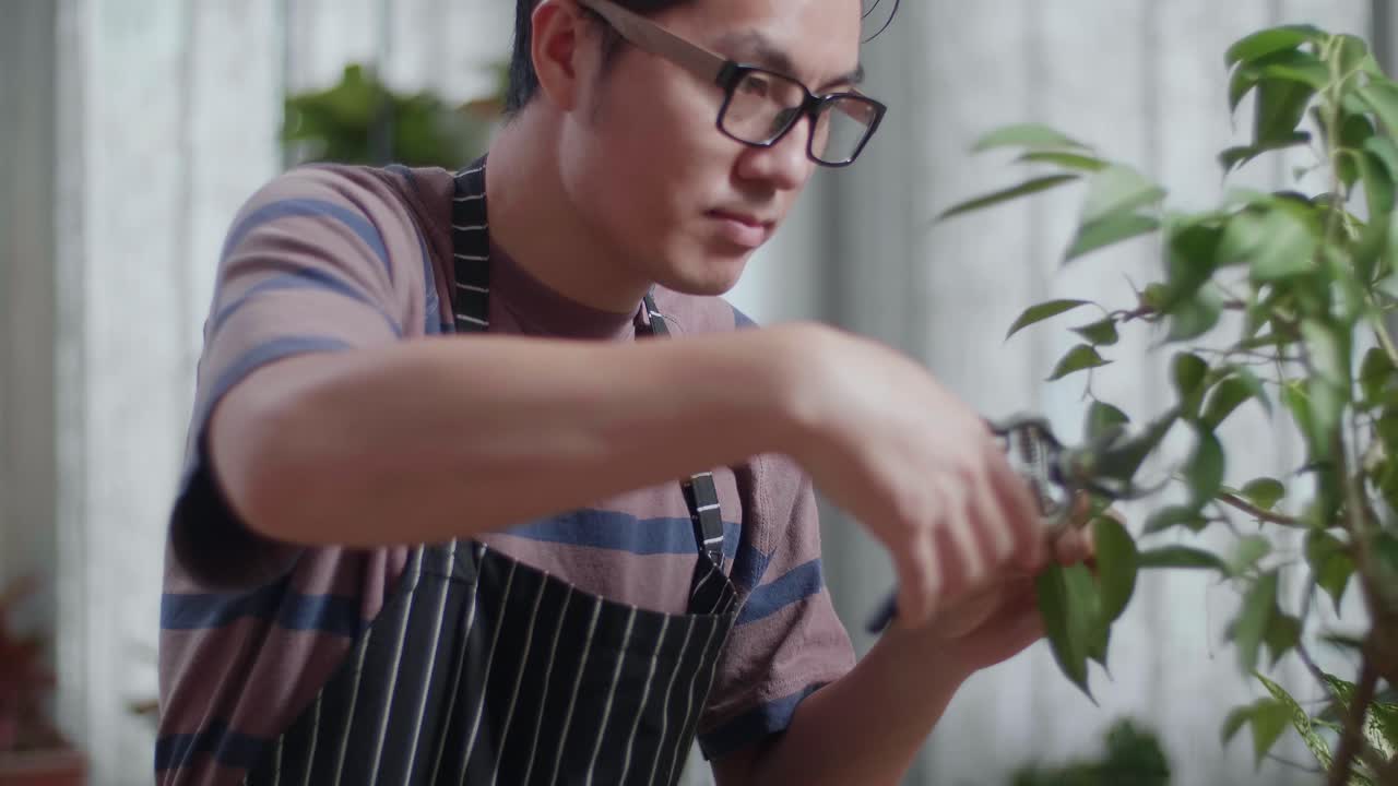 아시안 남성의 가까운 모습 집에서 식물을 잘라내는 모습