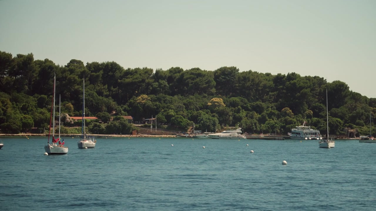 Barche, incluse barche a vela e yacht, che riposano su acque blu tranquille vicino a una costa densamente boscosa sotto un cielo estivo limpido.