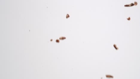 Whole-brown-roasted-and-salted-pecan-nuts-raining-down-on-white-backdrop-in-slow-motion