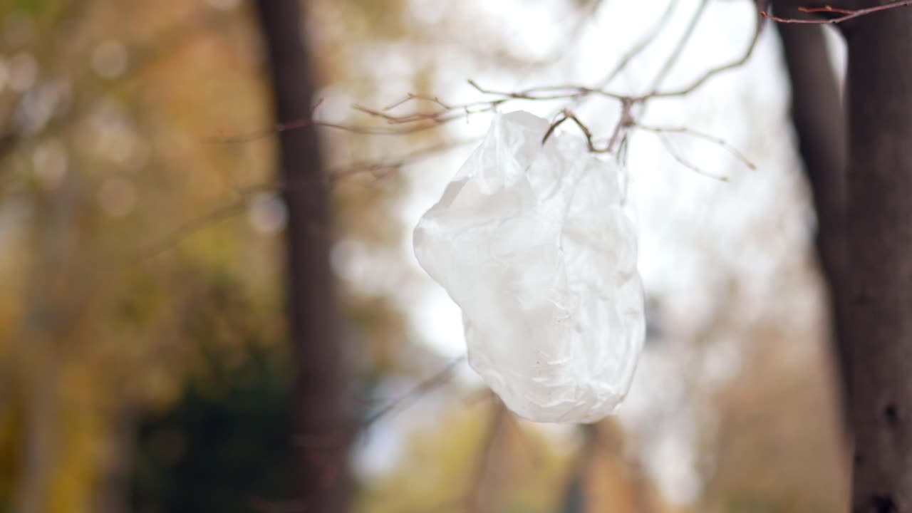 나무 가지 에 매달린 플라스틱 가방