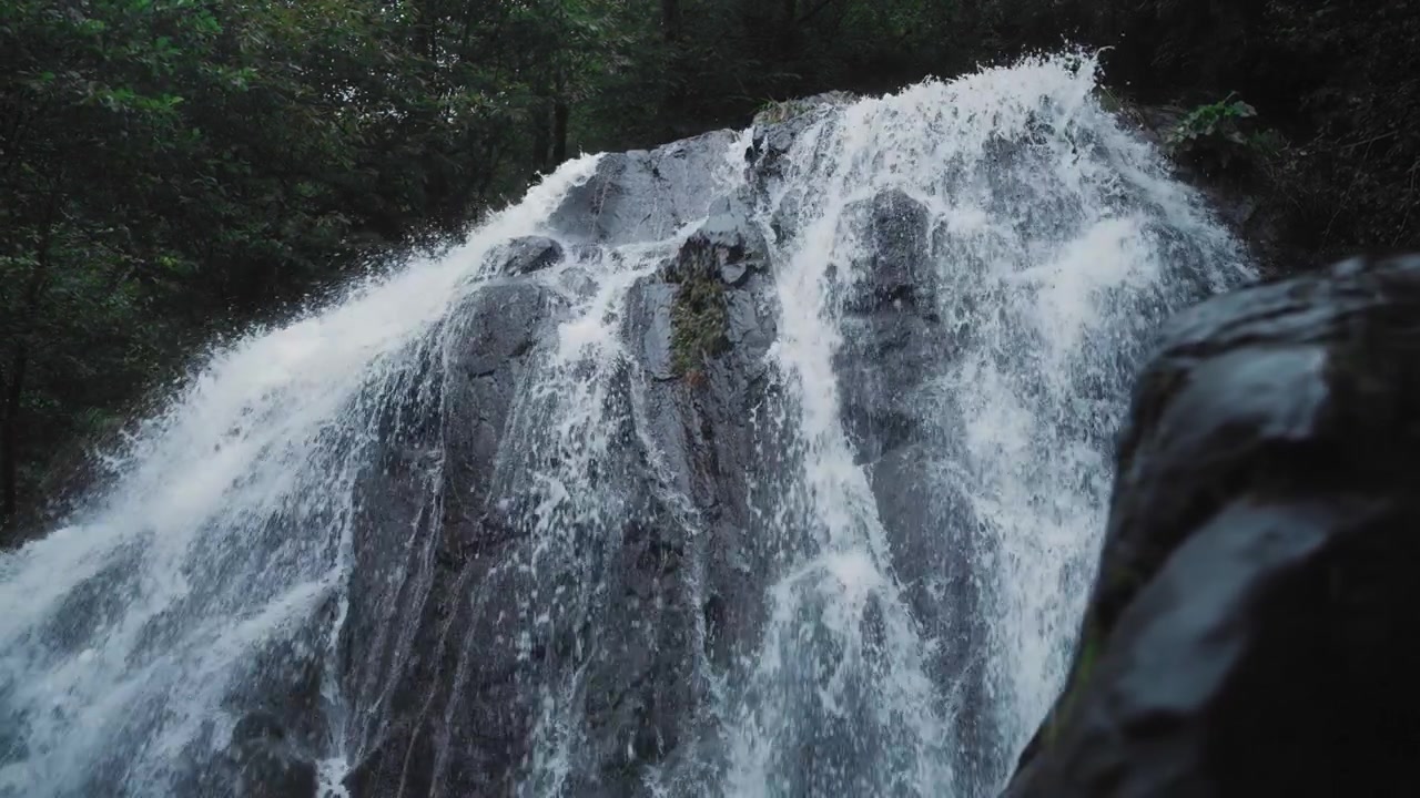 Foss i regnskog