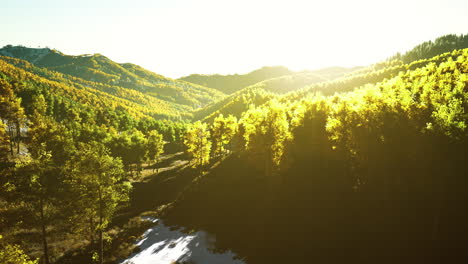 beautiful orange and red autumn forest