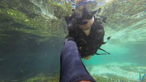 over-under water selfie: man snorkels in clear river water current