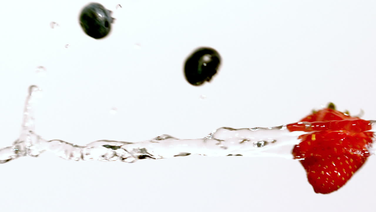 물줄기를 가로질러 움직이는 베리