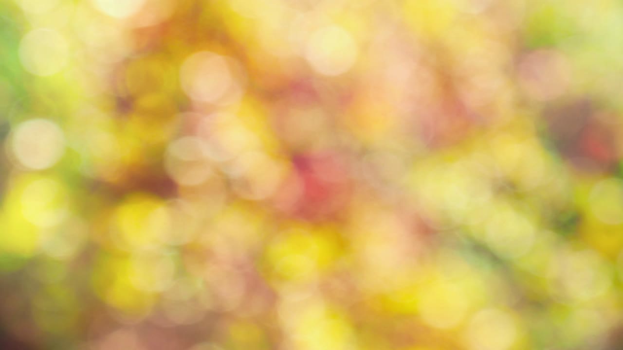 Abstract color background with bokeh motion