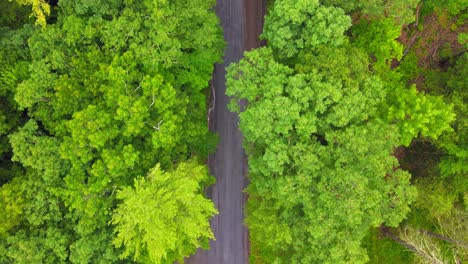 imágenes de video de drones aéreos vista de arriba hacia abajo de un dosel de árboles de verano y camino de tierra en las montañas apalaches