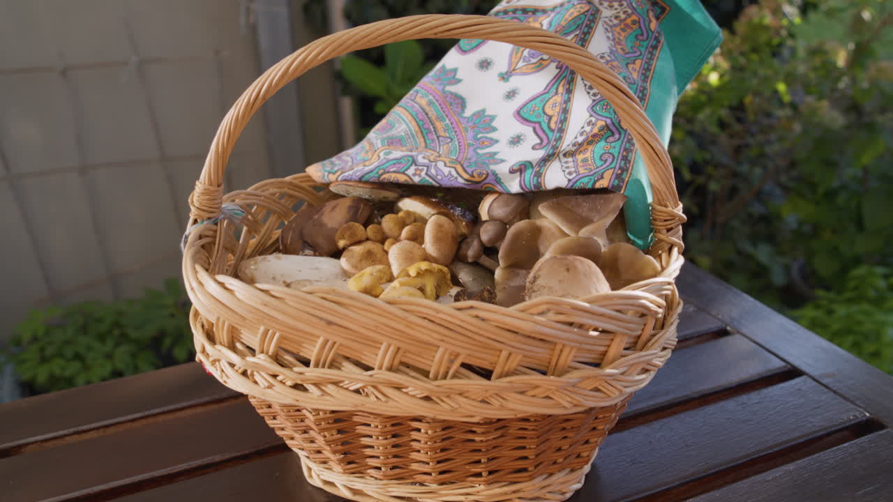 Revealing a basket full of various mushrooms, picked in Switzerland