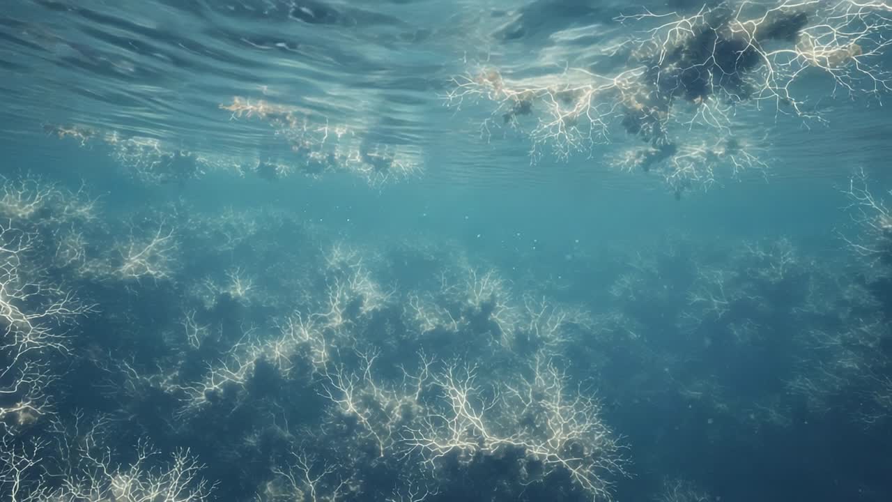 Beneath the Surface: A Stunning View of Ethereal Underwater Worlds Where Bioluminescent Corals Create a Magical, Otherworldly Environment Beneath the Waves