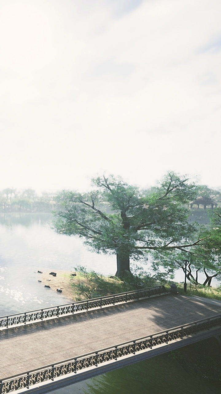 Morning view of trees and water reflecting in a calm lake with blue sky
