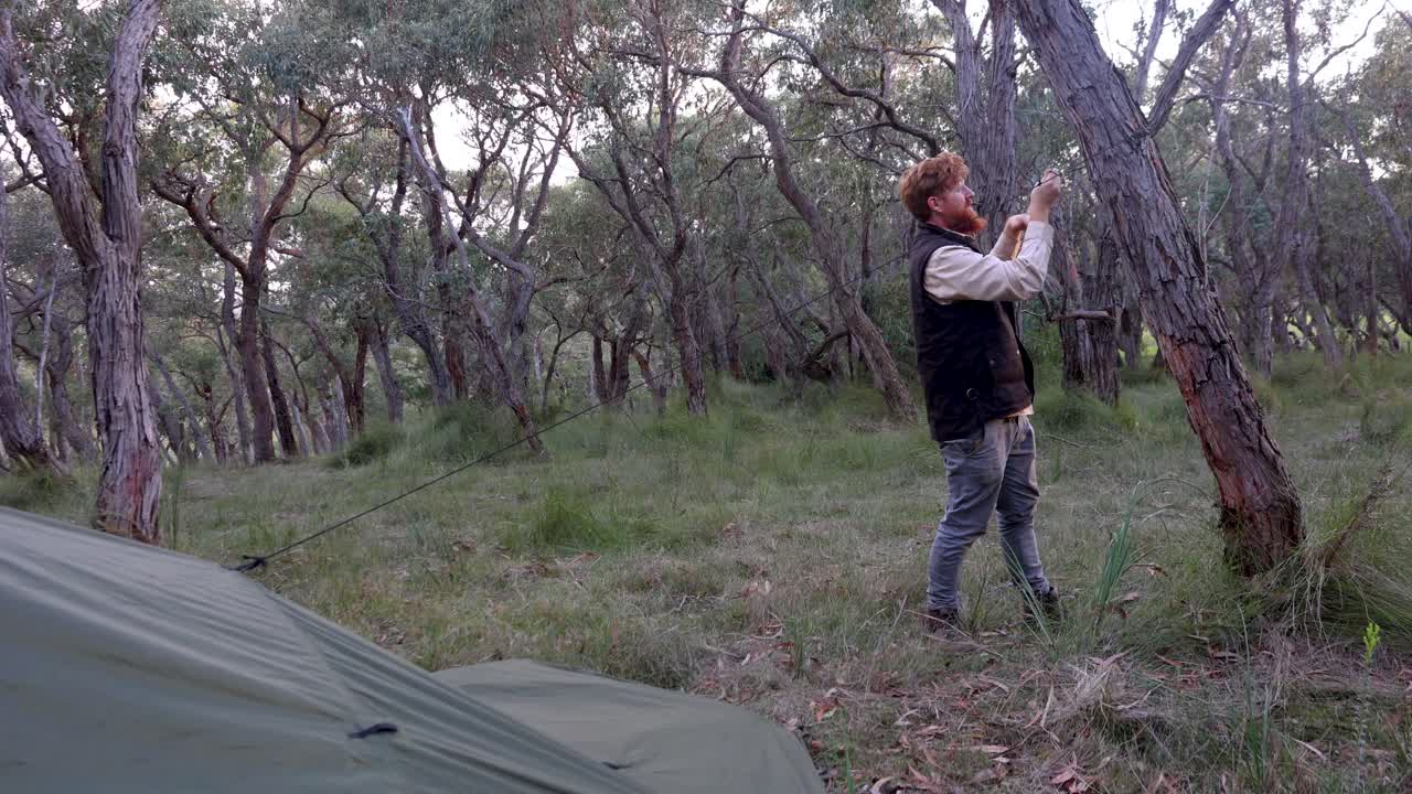 Ein Buschmann bindet ein Seil an einen Eukalyptusbaum, während er ein Tarp zum Zelten aufbaut