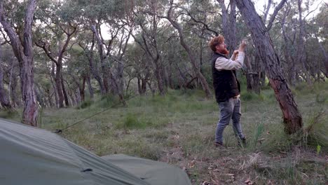 a bushman ties a rope to a gum tree while setting up a tarp for camping