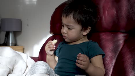 an 18-month-old baby boy sits on a sofa, happily eating sliced apples, symbolizing the stages of growing up and developing independence