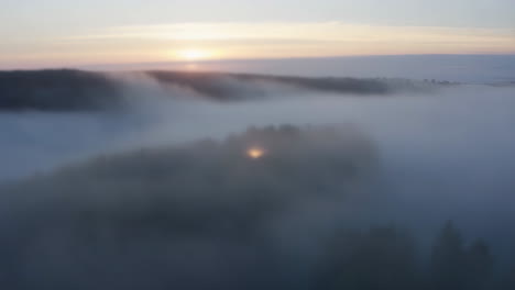 misty forest at sunrise or sunset