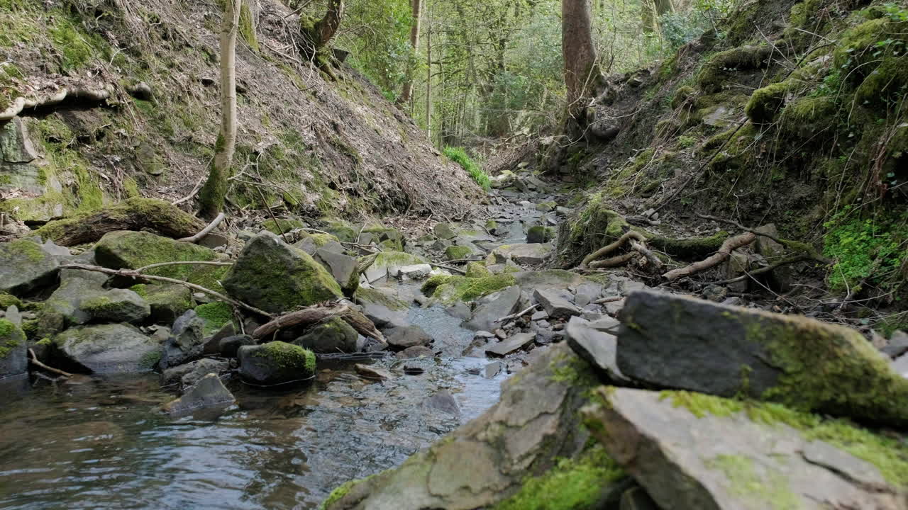 Sungai Mengalir di Atas Batu Berlumut