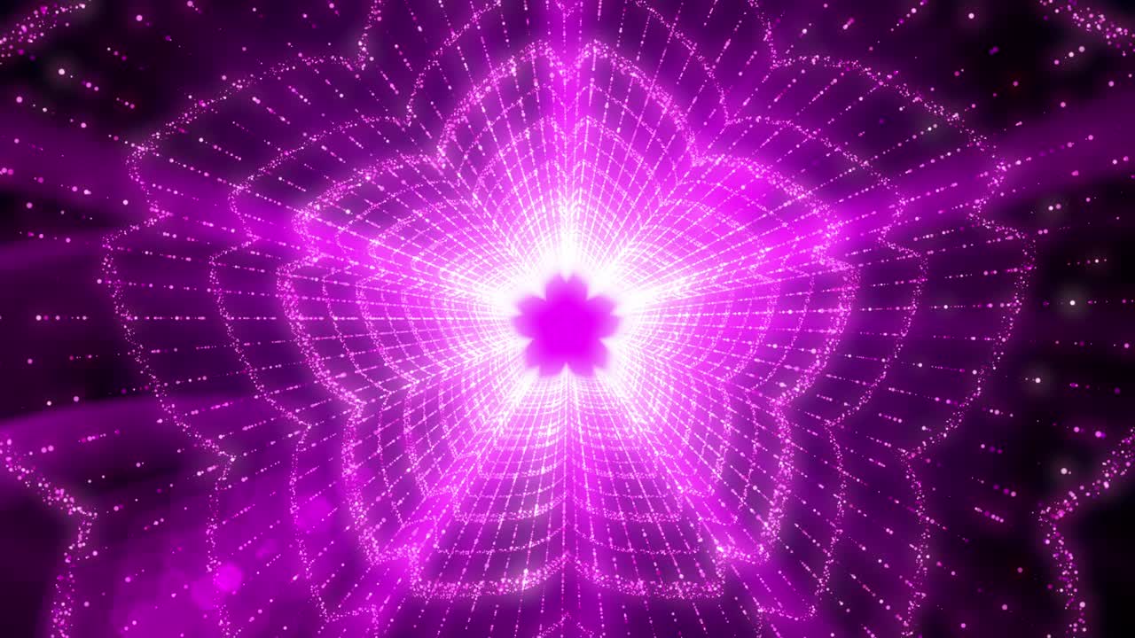 forma de flor luz brillo trazo de neón parpadeo animación de bucle de partículas