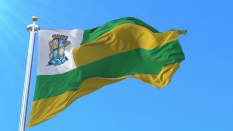 aracaju flag, sergipe, brazil. loop