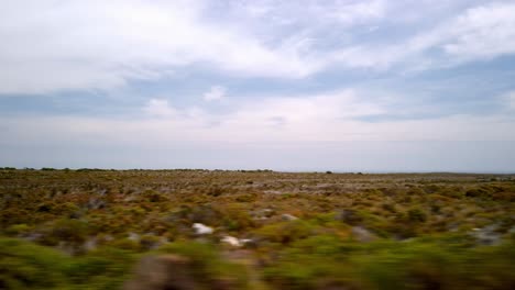 pov dentro de la ventana del coche vista de viaje campos agrícolas sudafricanos cabo de buena esperanza horizonte de la ciudad del cabo a la luz del día, prado verde y marrón