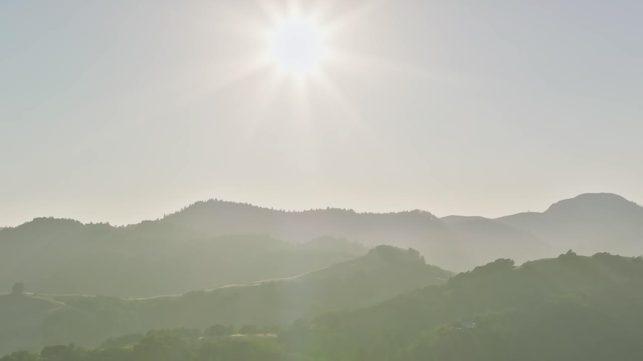 日中のカリフォルニア、ナパバレーのブドウ畑に太陽が降り注ぐ