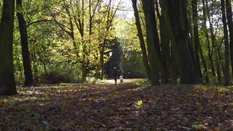 Hombre-Montado-En-Una-Scooter-Eléctrica-Con-Perro-Samoyedo-En-El-Parque-En-Cámara-Lenta-Moviéndose-Hacia-La-Cámara