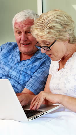 senior couple using laptop