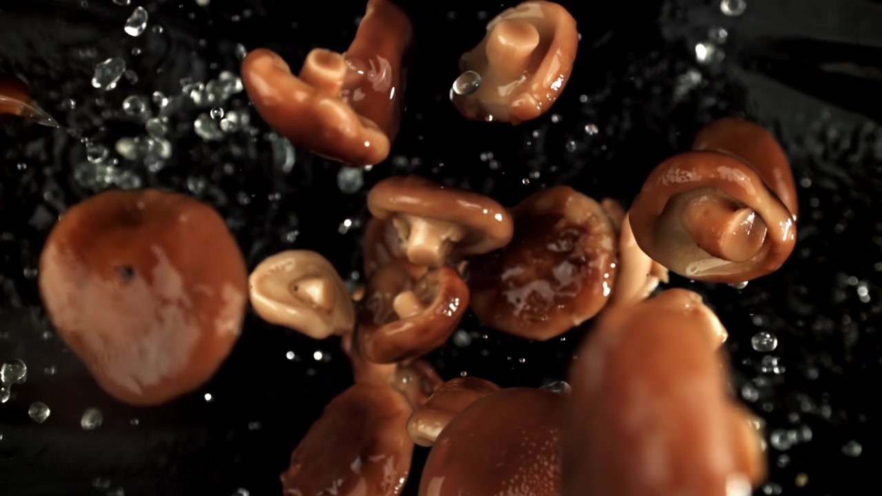 Shiitake-sopp faller og spruter vann på svart bakgrunn.
