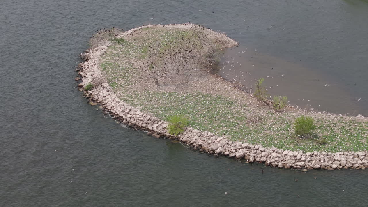 Semi orbit aerial shot of a small rocky island with cormorants and sparse trees. Surrounded by water on a sunny day
