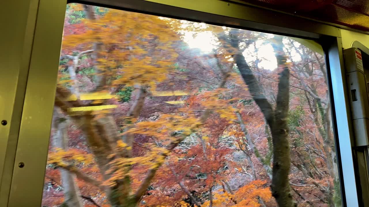 Mount Takao Day Trip: Explore Tokyo's Favorite Mountain
