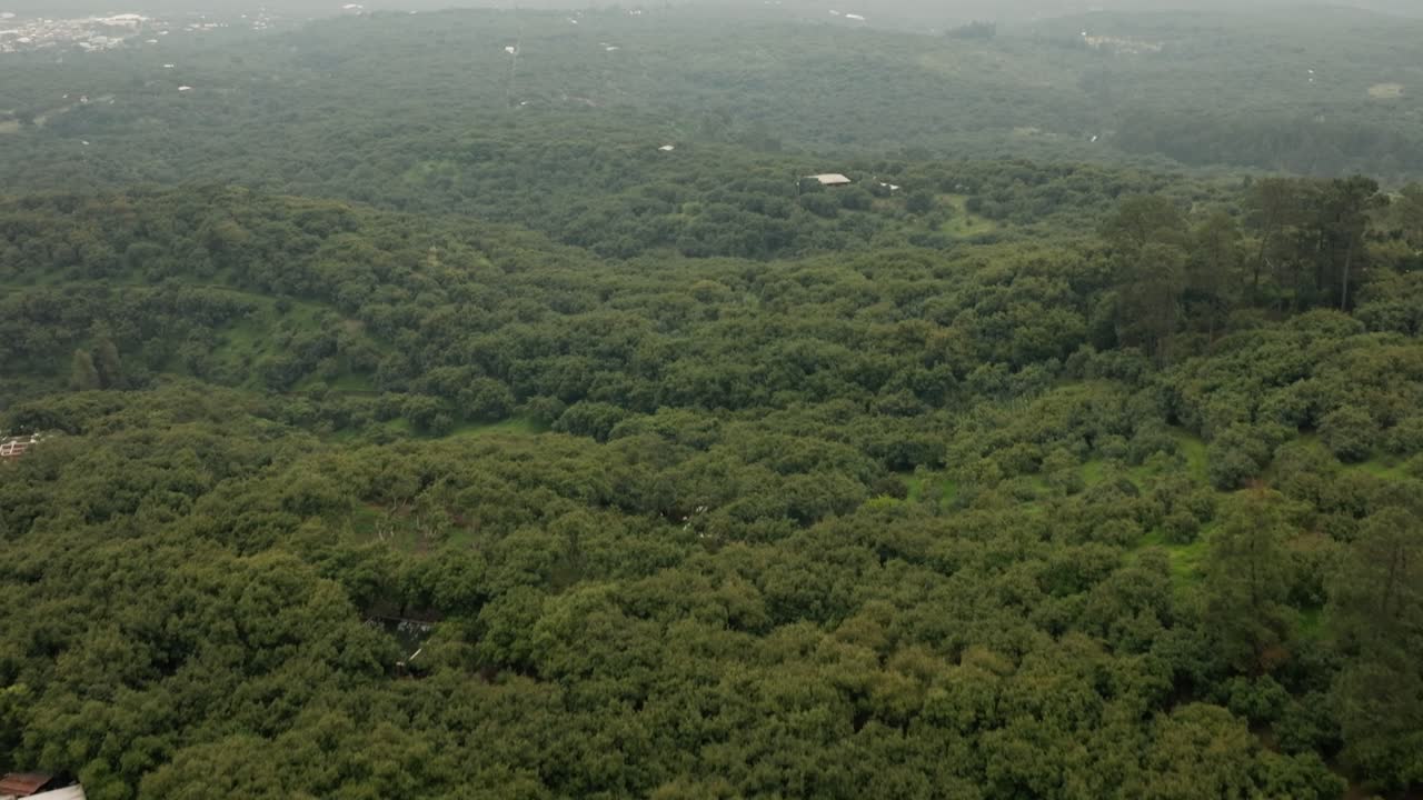 DRONE: REVERSE REVEAL SHOT OF AVOCADO FARMS IN URUAPAN MICHOACÁN ON A CLOUDY DAY