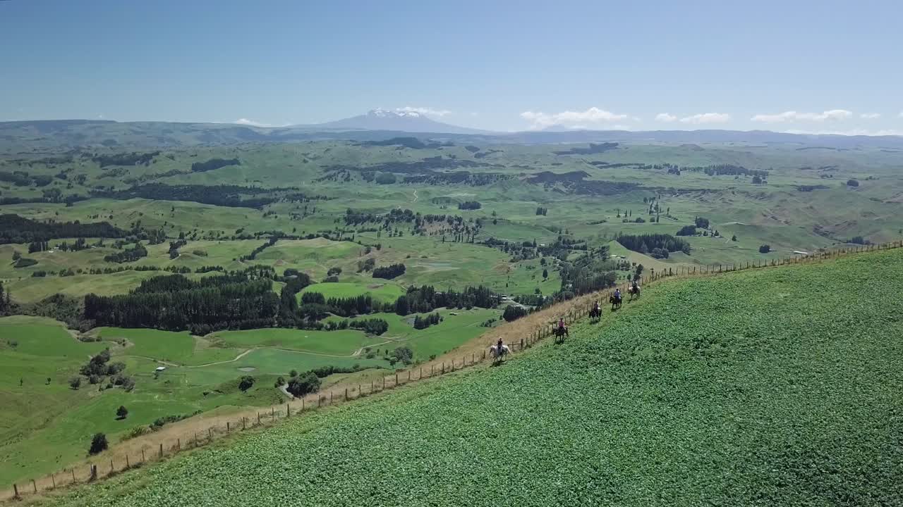 Aventura a caballo por la ladera de la montaña, con vistas al paisaje de Nueva Zelanda. Vista aérea.