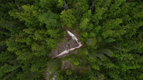 mountain bikers climbing uphill in dense mountain forest