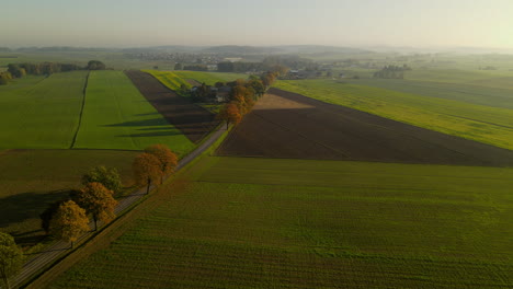 Auto-Taucht-Hinter-Bäumen-Auf-Landstraße-Auf,-Umgeben-Von-Gepflegten-Feldern,-Antenne