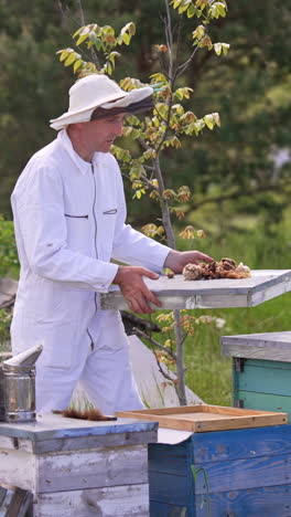 apiarist in white suit and hat opens the lid of hive. man is ready for examination his hive. nature blurred backdrop. vertical video