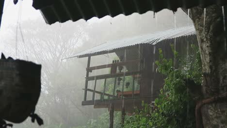 Bewölkter-Grauer-Himmel-Und-Ständiger-Regenguss-Im-Regenwald-Von-Guatemala-Während-Der-Regenzeit