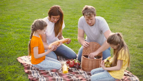 happy parents with two little daughters having picnic together on green meadow in the park