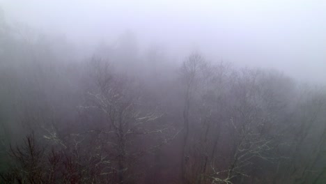 slow aerial over fog and foggy treetops in forest