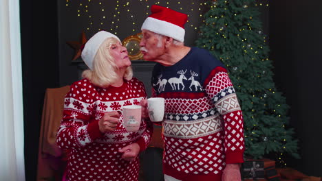 senior grandmother, grandmother enjoying pleasant christmas conversation, drinking hot tea at home