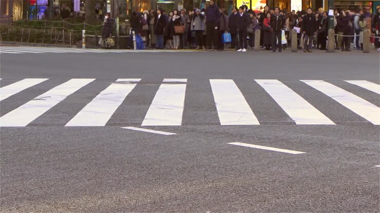 Busy Street Timelapse Tokyo