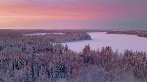 4k cgi drone flight over snowy pines, with an arctic sunrise casting warm light over the landscape, evoking a serene holiday ambience in a pristine winter setting.