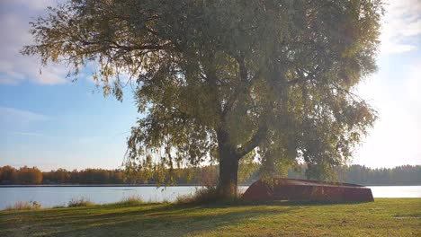 Beautiful lake in Scandinavia, Boat lying on land next to big old tree