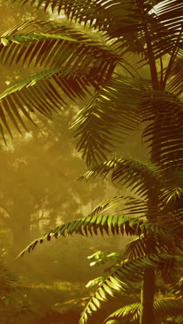 tropical forest with palm trees and sunlight