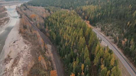 Yellow-larch-trees-along-the-flathead-river-near-glacier-national-park