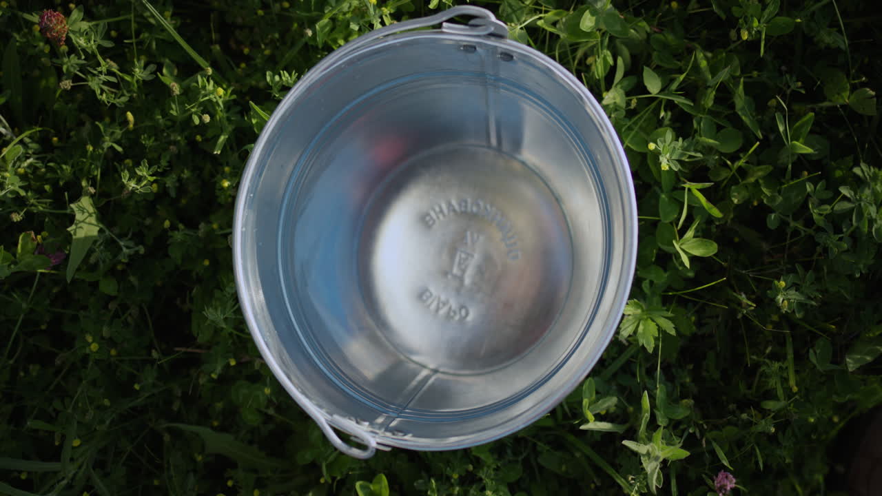 молоко выливается в ведро 2