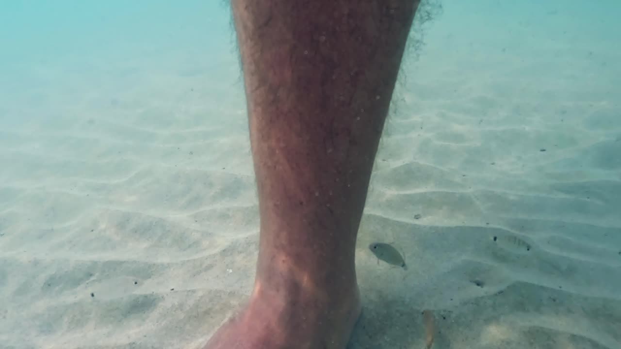 cámara lenta bajo el agua pov de peces diminutos pelando la piel de las piernas y los pies humanos en agua de mar