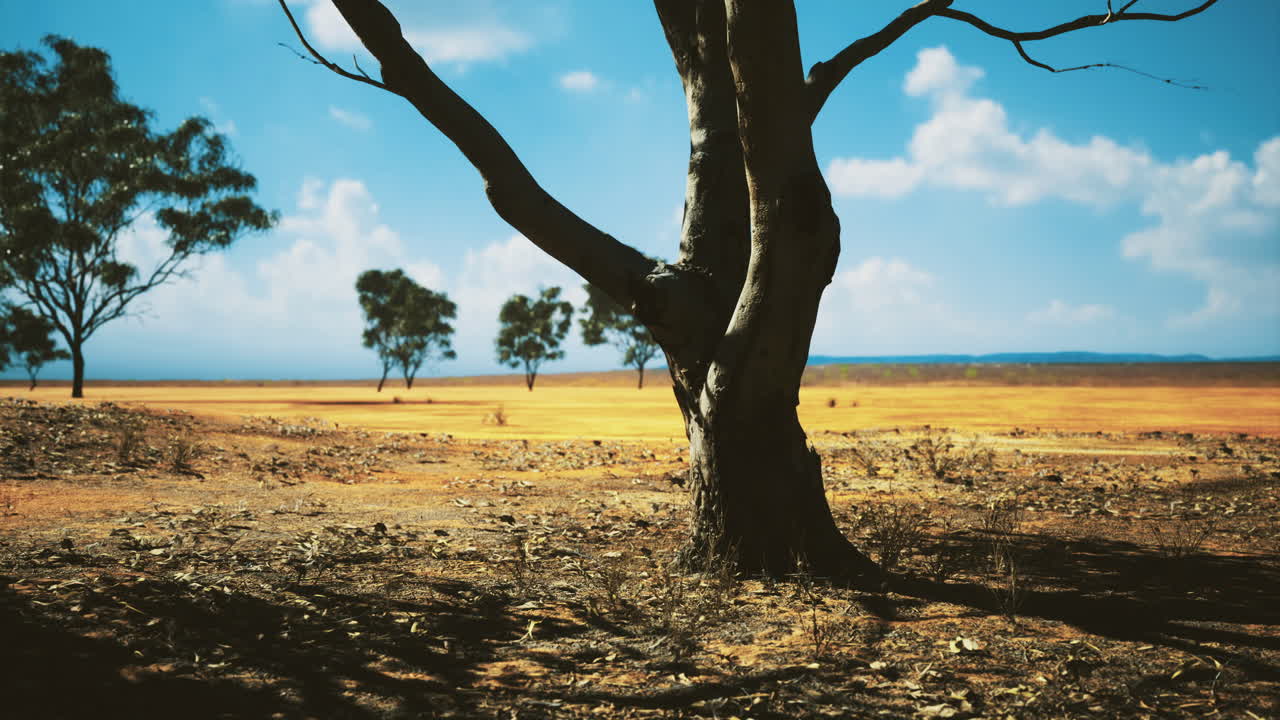 Vibrant landscape with a lone tree standing tall under a brilliant blue sky