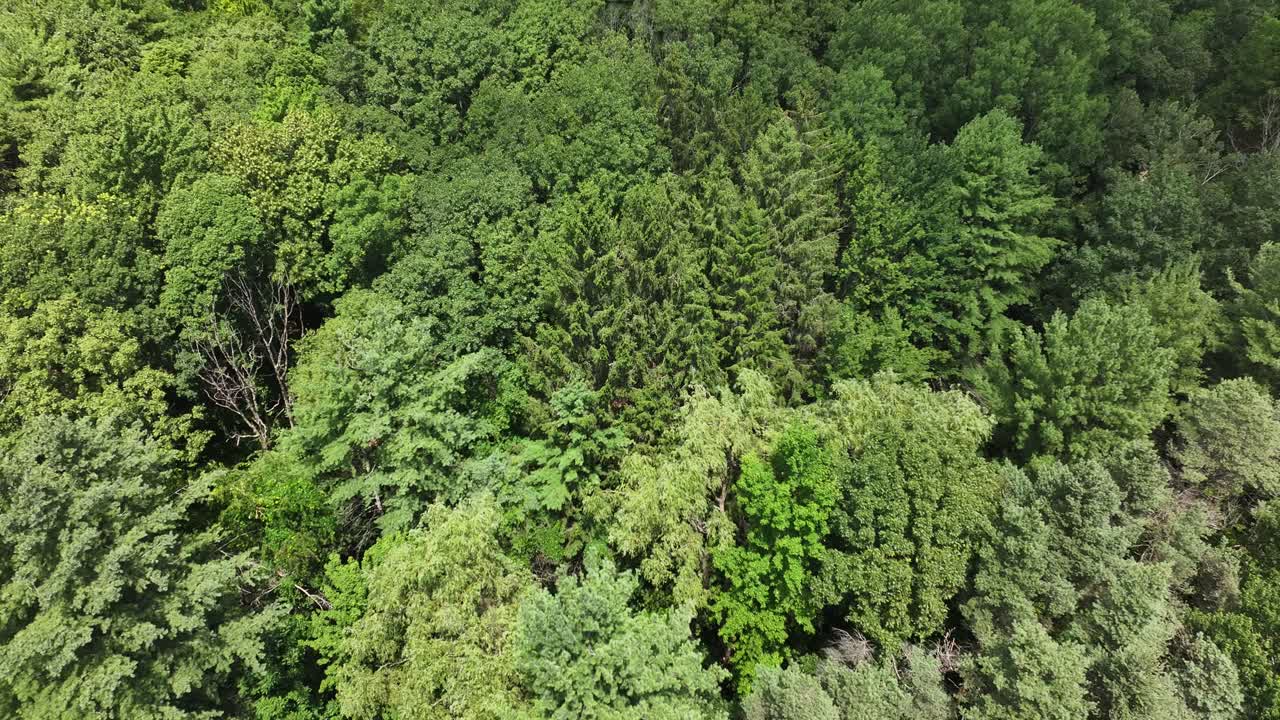 Upstaet New York wilderness aerial view