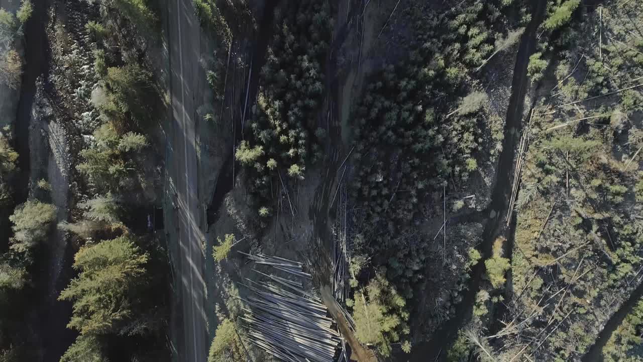 deforestación cerca del pueblo de witów, polonia. arriba hacia abajo