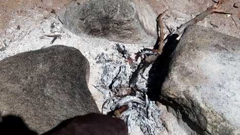 Close-up-of-Hadzabe-tribe-man-hand-cooking-a-hunted-rat-in-small-bonfire,-day