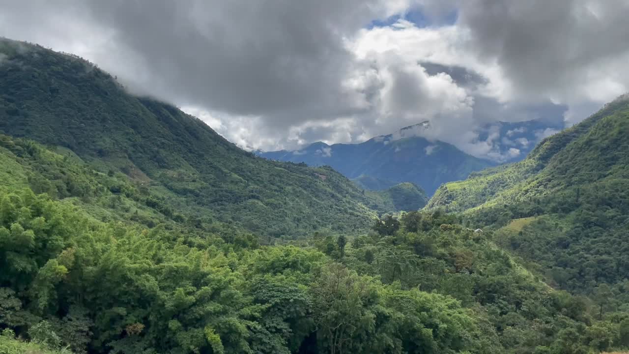 bosque verde en la cordillera de meghalaya en la india