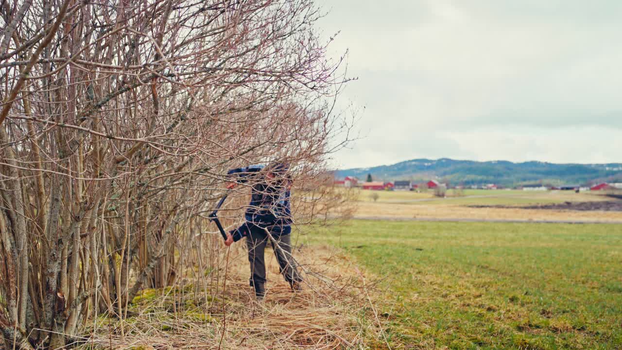 Man Pruning Bare Branches Of A Tree - Wide Shot